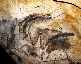 Le cheval et l&rsquo;homme – regard personnel sur notre histoire commune