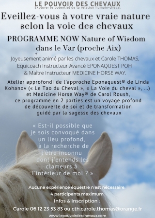 Qui sont les participants du programme NOW ?
