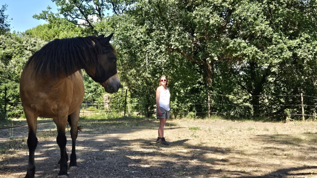 Un cheval tourne la tête vers une participante souriante dans un programme NOW