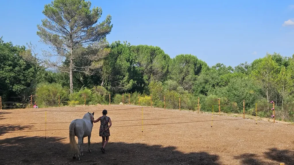Femme marchant à côté d'un cheval blanc lors d'une séance d'équicoaching Le Pouvoir des Chevaux