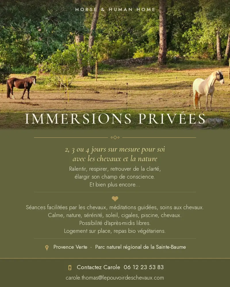 Immersions privées de 2 à 4 jours avec les chevaux, au domaine Horse & Human Home, Parc naturel régional de la Sainte-Baume